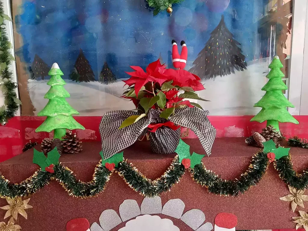 12 navidad portada